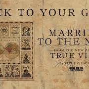 El texto musical MARRIED TO THE NOISE de STICK TO YOUR GUNS también está presente en el álbum True view (2017)