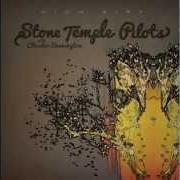El texto musical TOMORROW de STONE TEMPLE PILOTS también está presente en el álbum High rise (2013)