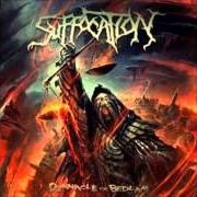 El texto musical SULLEN DAYS de SUFFOCATION también está presente en el álbum Pinnacle of bedlam (2013)