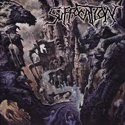 El texto musical TOMES OF ACRIMONY de SUFFOCATION también está presente en el álbum Souls to deny (2004)