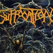 El texto musical SYNTHETICALLY REVIVED de SUFFOCATION también está presente en el álbum Pierced from within (1995)