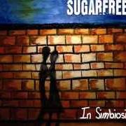 El texto musical DI QUESTE NOTTI de SUGARFREE también está presente en el álbum In simbiosi