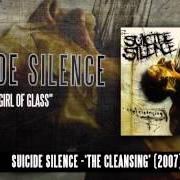 Suicide silence