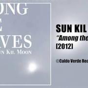 El texto musical UK BLUES de SUN KIL MOON también está presente en el álbum Among the leaves (2012)