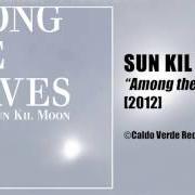 El texto musical KING FISH de SUN KIL MOON también está presente en el álbum Among the leaves (2012)