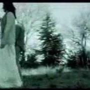 El texto musical POSTUMI DI UN AMORE de SURSUMCORDA también está presente en el álbum L'albero dei bradipi (2004)