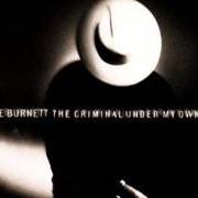 El texto musical TEAR THIS BUILDING DOWN de T-BONE BURNETT también está presente en el álbum The criminal under my own hat (1992)