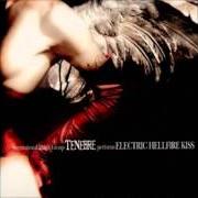 El texto musical BEAUTY DESTROYED de TENEBRE también está presente en el álbum Electric hellfire kiss (2002)