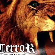 El texto musical KICKBACK de TERROR también está presente en el álbum Rhythm amongst the chaos (ep)