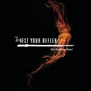 El texto musical DO WE BELONG de TEST YOUR REFLEX también está presente en el álbum The burning hour (2007)