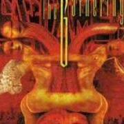 El texto musical DOWN FOR LIFE de TESTAMENT también está presente en el álbum The gathering (1999)