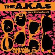 El texto musical TRUE LOVE IS BROKE de THE A.K.A.S también está presente en el álbum Animal summer (2009)
