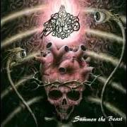 El texto musical BLESSED WITH THE WRATH OF EVIL de THE ABYSS también está presente en el álbum Summon the beast (1996)