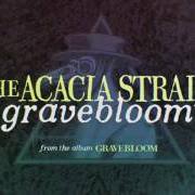 El texto musical MODEL CITIZEN de THE ACACIA STRAIN también está presente en el álbum Gravebloom (2017)