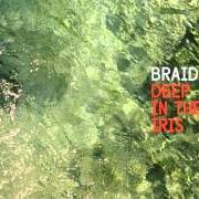 El texto musical MINISKIRT de THE BRAIDS también está presente en el álbum Deep in the iris (2015)