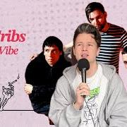 El texto musical NEVER THE SAME de THE CRIBS también está presente en el álbum Selling a vibe (2026)