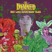 El texto musical GIMME DANGER de THE DAMNED también está presente en el álbum Not like everybody else (2026)