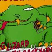 El texto musical LAUNDROMAT SONG de DEAD MILKMEN también está presente en el álbum Big lizard in my backyard (1985)