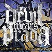 El texto musical LOUDER THAN THUNDER de THE DEVIL WEARS PRADA también está presente en el álbum With roots above and branches below (2009)