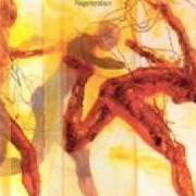 El texto musical BAD AMBASSADOR de THE DIVINE COMEDY también está presente en el álbum Regeneration (2001)
