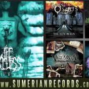 El texto musical AN AUTOPSY de THE FACELESS también está presente en el álbum Akeldama (2006)