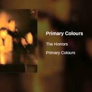 El texto musical SCARLET FIELDS de THE HORRORS también está presente en el álbum Primary colours (2009)