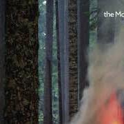 El texto musical DARK IN HERE de THE MOUNTAIN GOATS también está presente en el álbum Dark in here (2021)