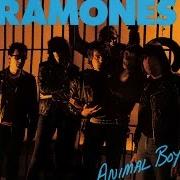 El texto musical HAIR OF THE DOG de RAMONES también está presente en el álbum Animal boy (1986)
