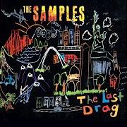 El texto musical SMILE FOR THE CAMERA de THE SAMPLES también está presente en el álbum The last drag
