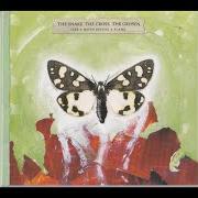 Like a moth before a flame