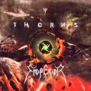 El texto musical THE DISCIPLINE OF EARTH de THE THORNS también está presente en el álbum Thorns vs. emperor (split) (1999)