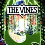 El texto musical AIN'T NO ROOM de THE VINES también está presente en el álbum Highly evolved (2002)