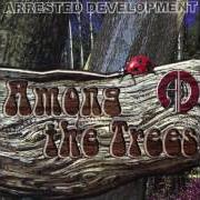 El texto musical NIGHT TIME DEMONS de ARRESTED DEVELOPMENT también está presente en el álbum Among the trees (2004)