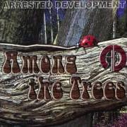 El texto musical I'M IGNORING YOU de ARRESTED DEVELOPMENT también está presente en el álbum Among the trees (2004)