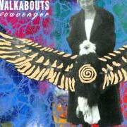 El texto musical NOTHING IS A STRANGER de THE WALKABOUTS también está presente en el álbum Scavenger (1990)