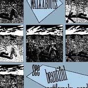 El texto musical FEAST OR FAMINE de THE WALKABOUTS también está presente en el álbum See beautiful rattlesnake gardens (1988)