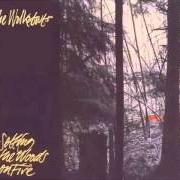 El texto musical ALMOST WISDOM de THE WALKABOUTS también está presente en el álbum Setting the woods of fire (1994)
