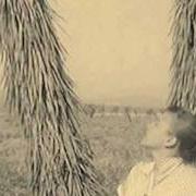 El texto musical LONG DRIVE IN A SLOW MACHINE de THE WALKABOUTS también está presente en el álbum Travels in the dustland (2011)