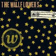 El texto musical ANGEL ON MY BIKE de THE WALLFLOWERS también está presente en el álbum Bringing down the horse (1996)