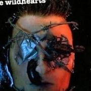 El texto musical DESTROY ALL MONSTERS de THE WILDHEARTS también está presente en el álbum The wildhearts (2007)