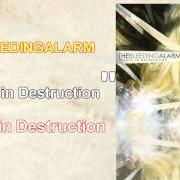 Beauty in destruction Beauty in destruction