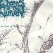 El texto musical A SHADE OF SORROW (INTO FOREVER) de THORNS OF THE CARRION también está presente en el álbum The gardens of dead winter (1995)