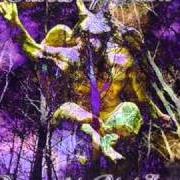 El texto musical OF SCARLET SKIES MADE de THROES OF DAWN también está presente en el álbum Dreams of the black earth (1998)