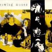 El texto musical DIZZY de THROWING MUSES también está presente en el álbum Hunkpapa (1990)