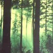 El texto musical WINE FROM TEARS de THY SERPENT también está presente en el álbum Forests of witchery (1996)