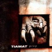 El texto musical EQUINOX OF THE GODS de TIAMAT también está presente en el álbum Amanethes (2008)