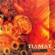 El texto musical A POCKET SIZE SUN de TIAMAT también está presente en el álbum Wildhoney (1994)