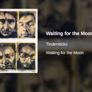 El texto musical WAITING FOR THE MOON de TINDERSTICKS también está presente en el álbum Waiting for the moon (2003)