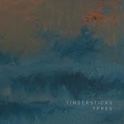 El texto musical WHISPERING GUNS, PT. 1, 2 & 3 de TINDERSTICKS también está presente en el álbum Ypres (2014)