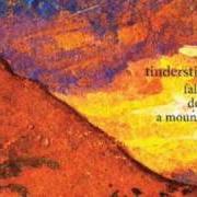 El texto musical FOREIGN TONGUE de TINDERSTICKS también está presente en el álbum Falling down a mountain (2010)